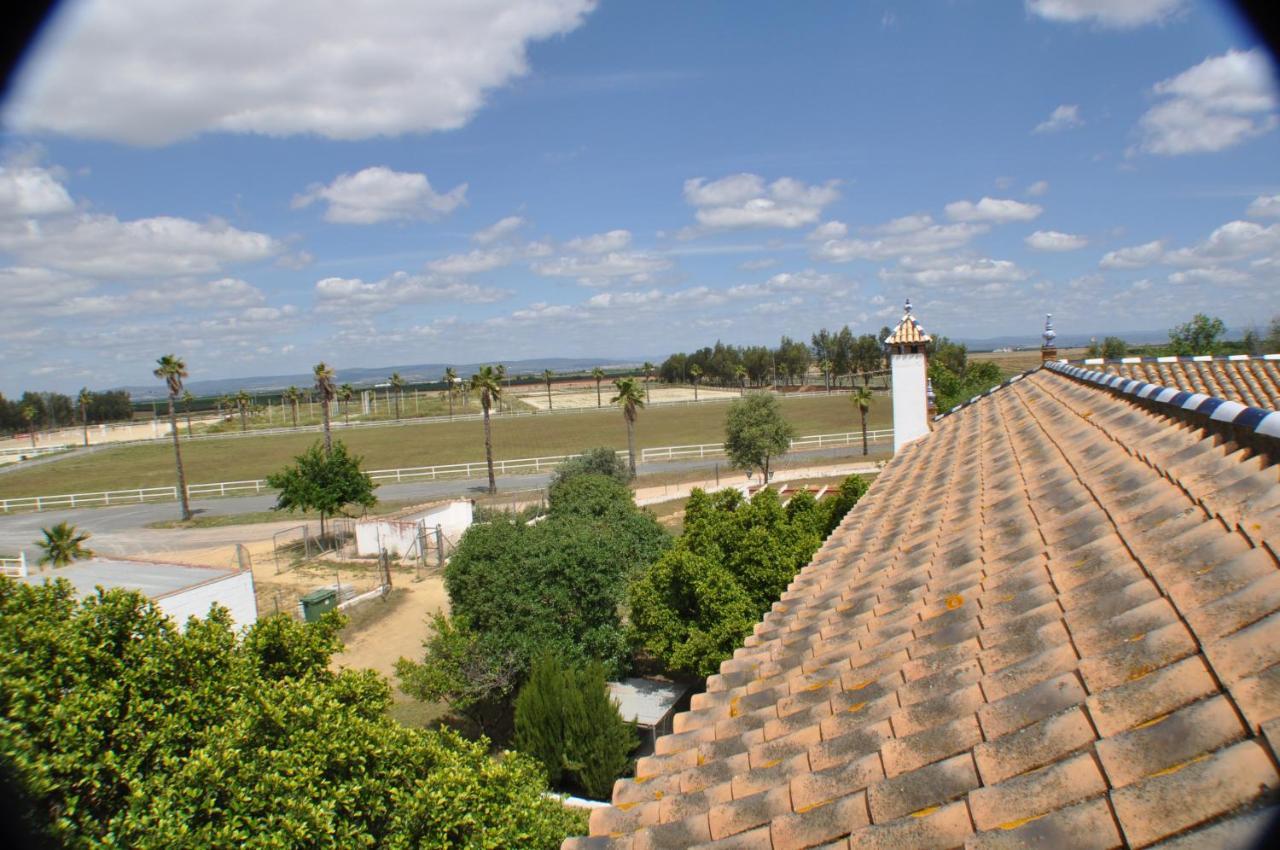 Вилла Cortijo La Amazona Севилья Экстерьер фото