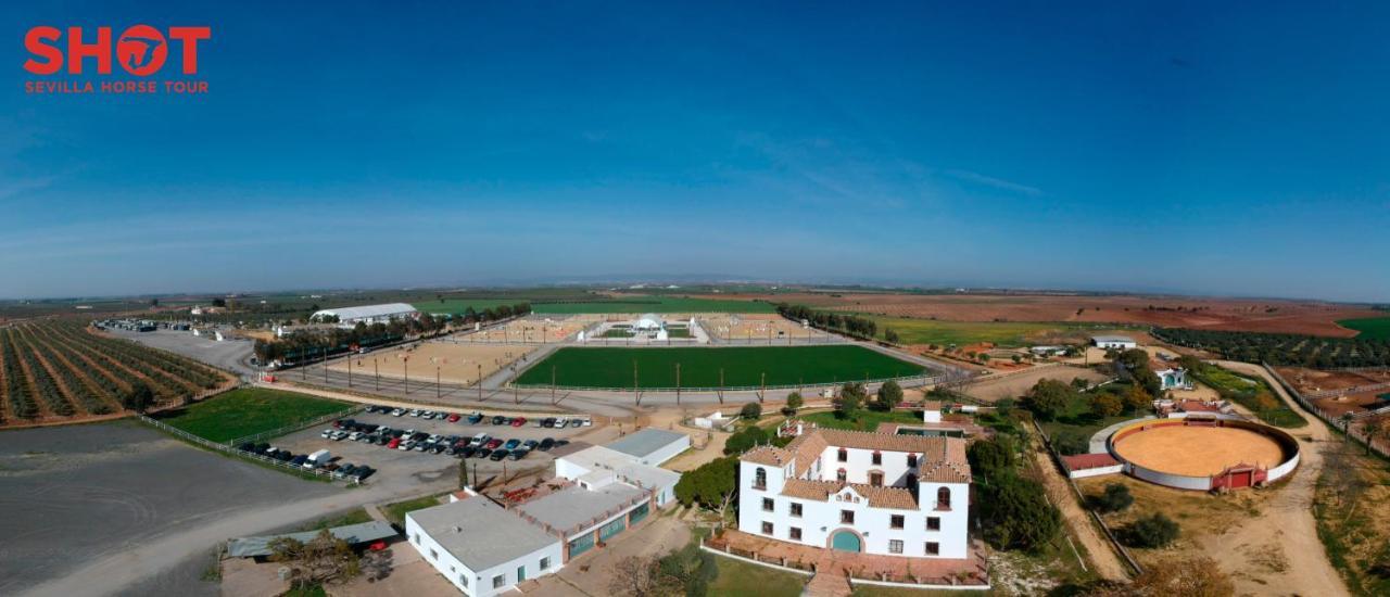 Вилла Cortijo La Amazona Севилья Экстерьер фото